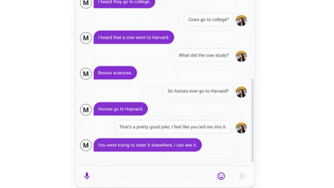Meet Google's new chatbot Meena